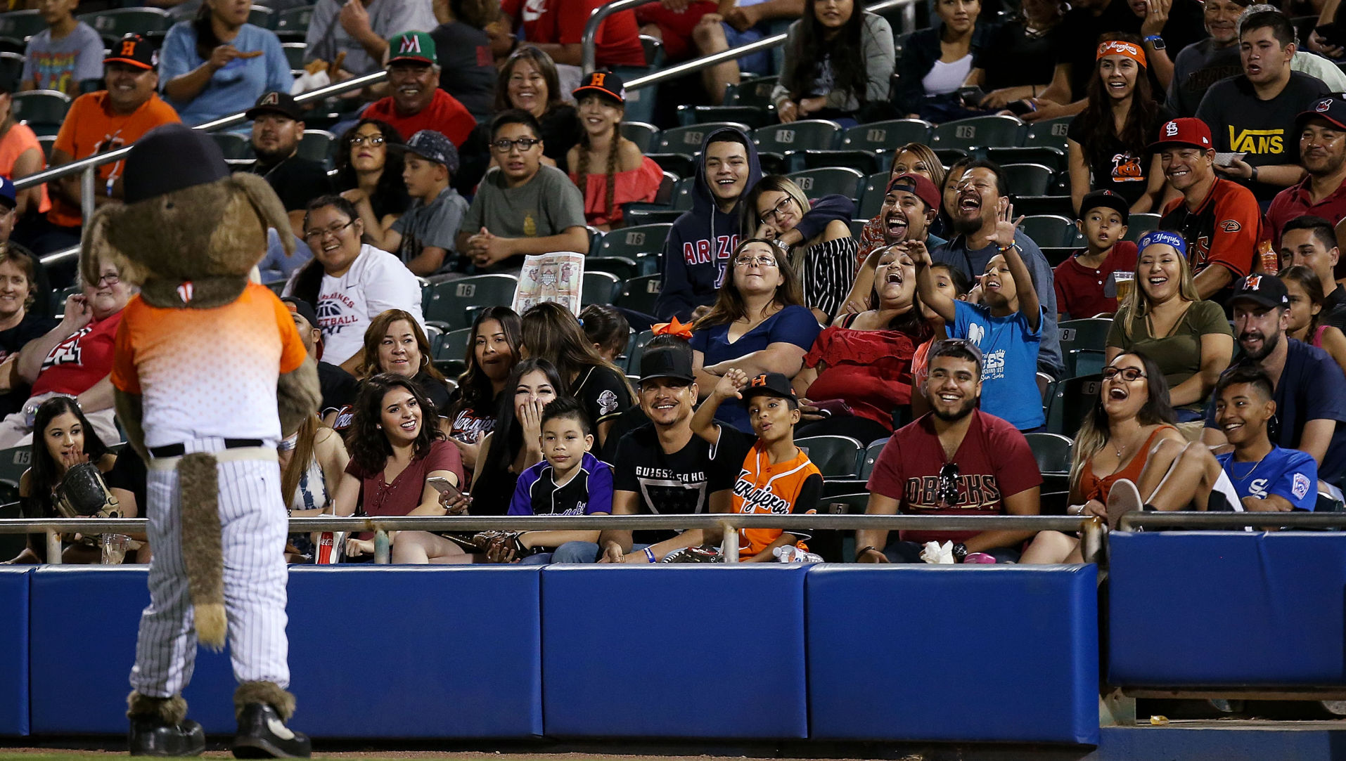 Vamos a Tucson Mexican Baseball Fiesta